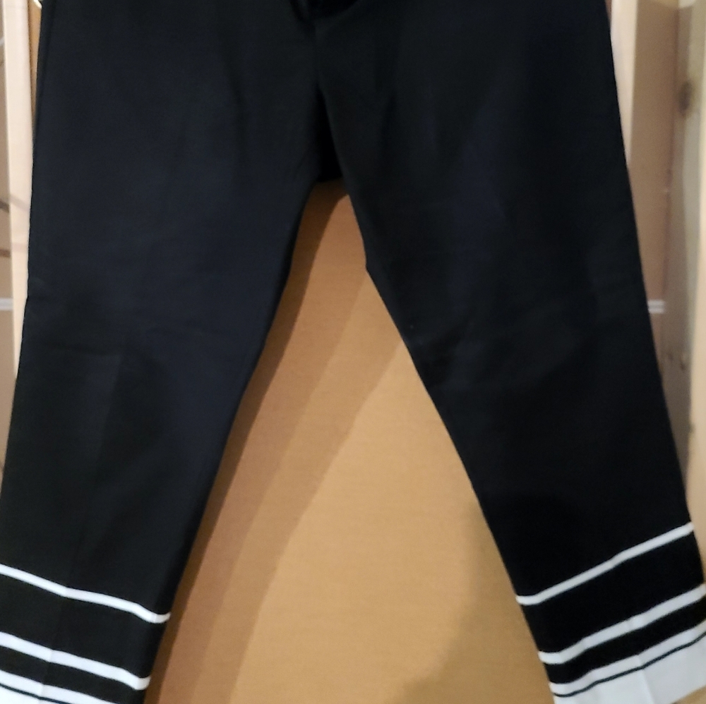 Dress pants